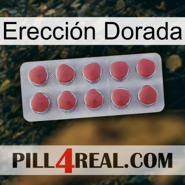 Erección Dorada 18.jpg